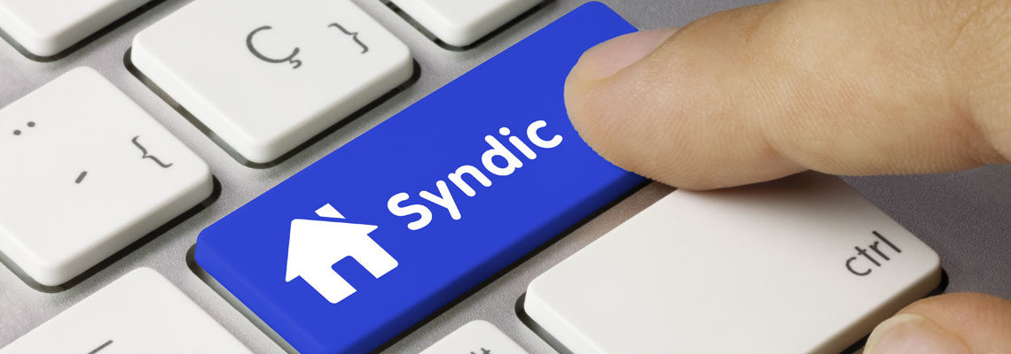 syndic