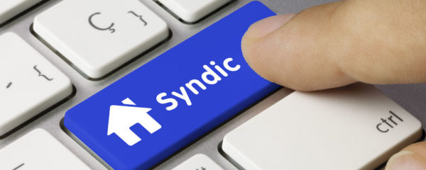 syndic